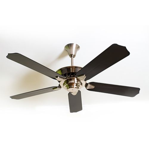 Ceiling Fan Electrical Experts in Potsdam